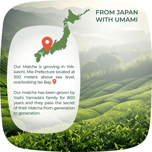 Vista 5 de Paquete ceremonial de 3.5 onzas + 3.5 oz Matcha de grado culinario de Japón