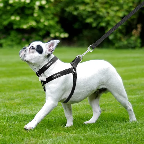 Vista 5 de Arnés para perro sin tirones, arnés ajustable, correa y collar para perros pequeños, medianos y grandes, arnés suave a prueba de escapes