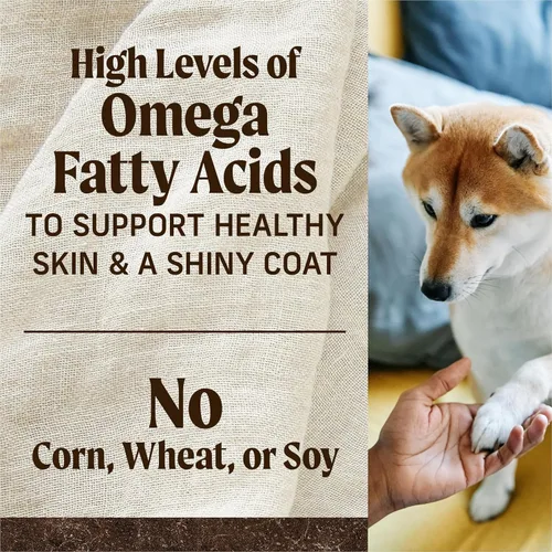 Vista 11 de Merrick - Alimento seco para perros, receta de pollo real y batata libre de granos, 4 libras, en bolsa