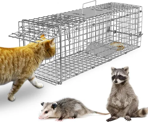 Trampa de jaula animal vivo de 23,3", alambre galvanizado plegable