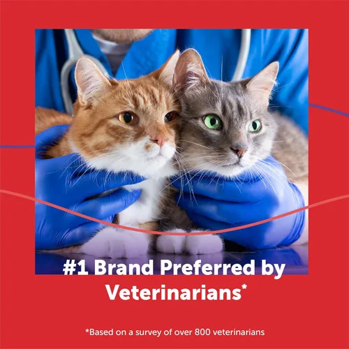 Vista 10 de FELIWAY® MultiCat 6 x Recambios calmantes para gatos de 30 días para difusor de feromonas, paquete de valor de 6 x 48ml (1.6 fl oz) - Ayuda a