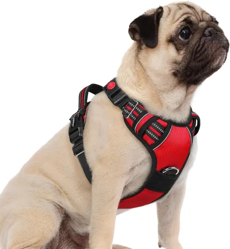 Vista 48 de rabbitgoo Arnés para perro de tamaño pequeño, chaleco para perro sin tirones con 3 hebillas, arnés ajustable y acolchado suave para mascotas con asa
