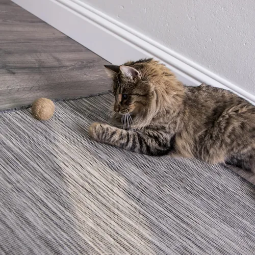 Vista 8 de SmartyKat Catnip - Juguetes para gatos