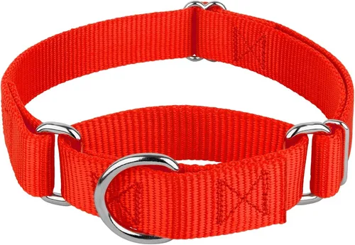 Vista 21 de Country Brook Petz - Collar de perro martingala, collar de entrenamiento resistente sin hebilla, collar de perro de servicio para todos los Marrón