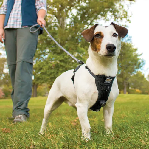 Vista 8 de Kurgo Tru-Fit - Arnés inteligente para caminar para perros, ajuste cómodo, arnés ajustable, reflectante para mascotas, liberación rápida