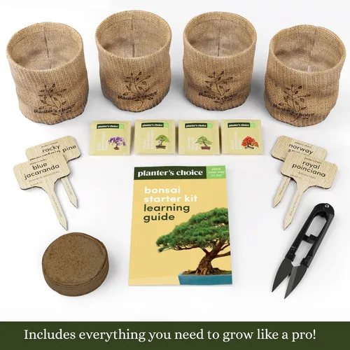Vista 2 de Planters' Choice Equipo de bonsai para principiantes.Equipo completo para cultivar 4 bonsai desde la semilla, con guía completa y varilla de bambú