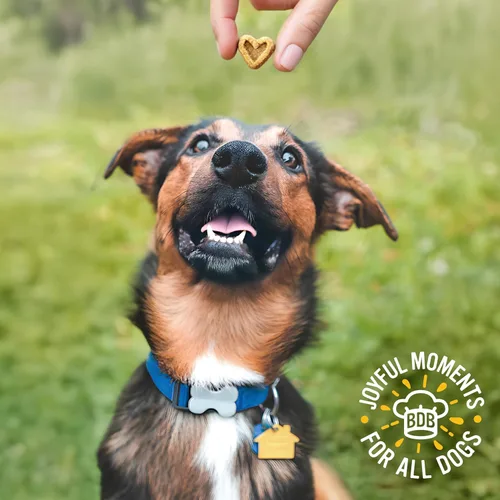 Vista 12 de Blue Dog Bakery Perfect Trainers, mini golosinas de entrenamiento para perros, suaves y masticables, hechas con carne de Estados Unidos, golosinas