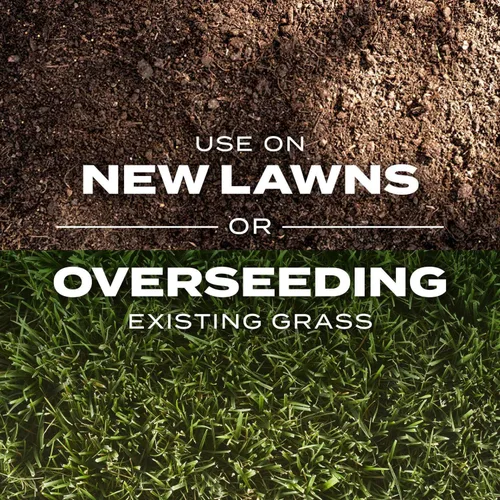 Vista 7 de Scotts Turf Builder Rapid Grass - Mezcla de festuca alta, 16 libras.