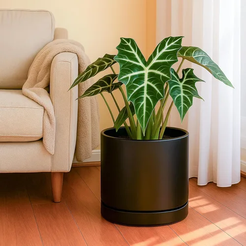 Vista 2 de D'vine Dev Maceta de cerámica de 10 pulgadas con orificio de drenaje y platillo, maceta redonda cilíndrica para interiores, color negro, 94-O-E-2