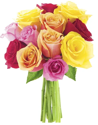 Vista 5 de KaBloom Entrega al día siguiente: colección para el día de la madre, 6 rosas arcoíris con ramo de verde. Regalo para cumpleaños, condolencias