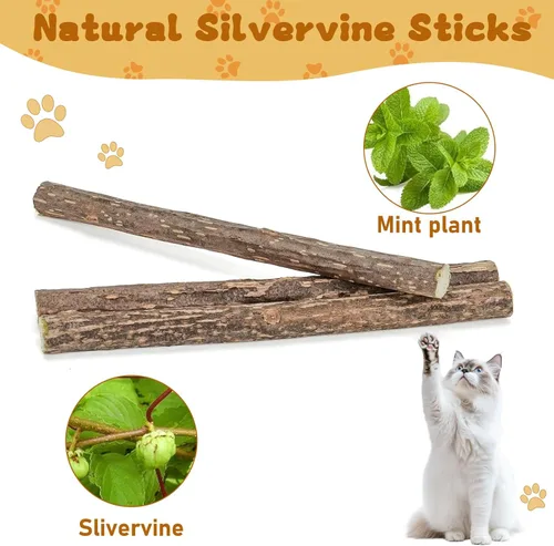 Vista 6 de WoLover Silvervine - Palitos para gatos, matatabi natural de hierba gatera masticable, dientes molares, juguetes masticables para gatos gatitos