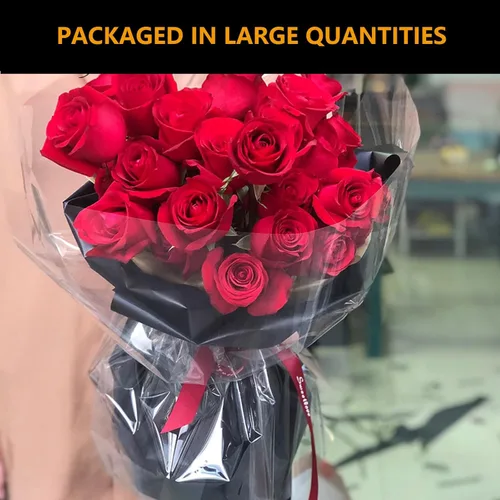 Vista 4 de CATCYLUIS Rollo de celofán transparente de 31.5 pulgadas, papel de regalo transparente de 3 mil para envolver cestas de regalo, rollo de celofán