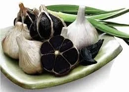 Generic Semillas frescas de verduras de ajo 200 piezas para plantar negro