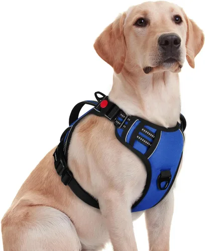 Vista 27 de rabbitgoo Arnés para perro de tamaño pequeño, arnés para mascotas sin tirones con mango acolchado suave, chaleco reflectante ajustable con 3