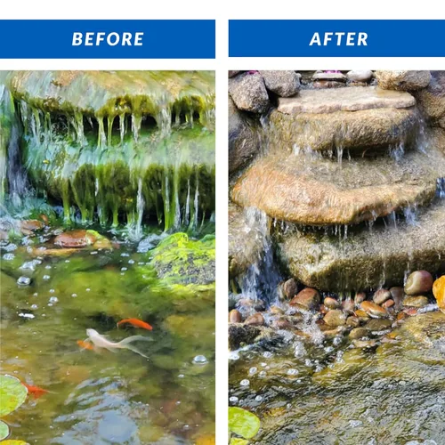 Vista 2 de CrystalClear Algae D-Solv - Alguicida de acción rápida registrado por la EPA, control de algas para fuentes y estanques al aire libre con koi