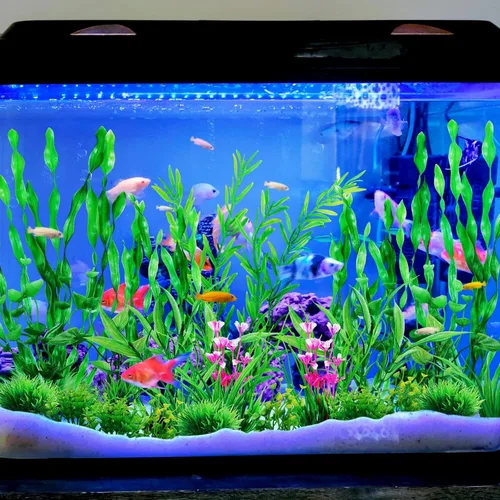 Vista 8 de QUOZUO Plantas de acuario decorativas para peceras verdes, 25 piezas de decoración de peceras, accesorios de pecera, plantas artificiales