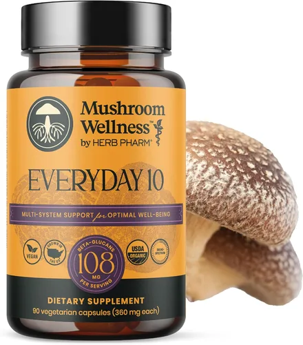 Mushroom Wellness Everyday 10: Cápsulas orgánicas de hongos 10 en 1 con melena de león, shiitake, reishi, cola de pavo y más, suplemento en polvo de