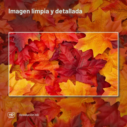 Vista 5 de Hisense Serie A4 32A4HNR - Smart Roku TV HD 720p de 32 pulgadas con compatibilidad Alexa - Audio Dolby, diseño de bisel delgado, Asistente de Google