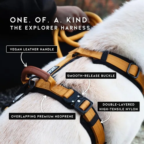 Vista 2 de MADE TO ROAM Arnés Explorer de alta calidad para perro, arnés en forma de Y con nailon duradero ajustable, acolchado suave, hebillas de metal
