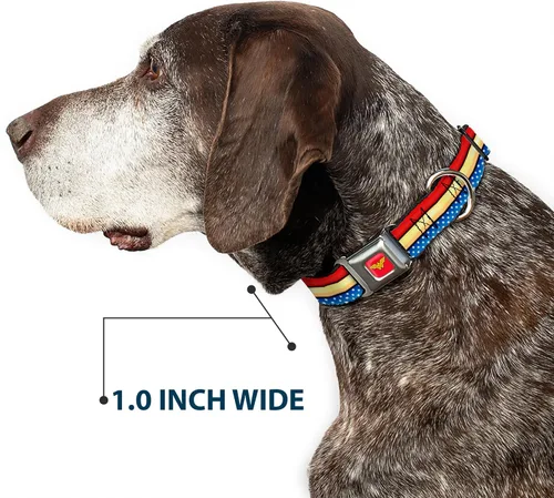 Vista 6 de Buckle-Down Collar de perro con hebilla de cinturón de seguridad, diseño de mujer maravilla, rayas, estrellas, rojo, oro, azul, blanco, 1 pulgada