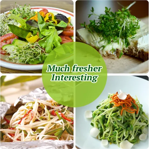 Vista 6 de Kit de tarros de germinación, 2 tarros grandes de boca ancha con tapa de brote de pantalla, soporte para tarro de brotes, bandeja, mangas opacas