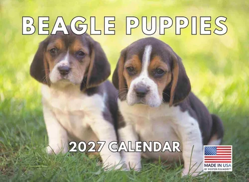 Vista 128 de Calendario de pared mensual 2025 Great Dane de 12 meses, fabricado en Estados Unidos