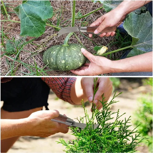 Vista 5 de Cuchillo de jardín y cuchillo de injerto Linsen-outdoors con doble hoja para uso zurdo y diestro, el diseño clásico con cómodo mango de palisandro