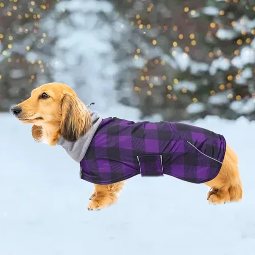 Vista 17 de Abrigos de perro salchicha impermeables, perfectos para perros salchichas, salchichas, abrigo de invierno para perro Weiner con forro polar