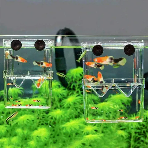 Vista 3 de Senzeal Caja de Cría de Peces de Acuario Caja de Aislamiento de Cría de Peces de Plástico Caja de Incubadora de Eclosión para Peces Bebés