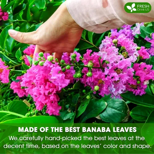 Vista 6 de FreshDrinkUS, Más de 50 hojas secas de banaba premium, 100% naturales y puras de hojas enteras de banaba, té de hoja de banaba, sin aditivos, sin