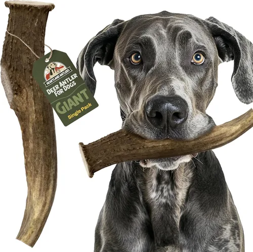 Vista 8 de Heartland - Astas de ciervo para perros - Masticables diarios para el cuidado dental para masticadores agresivos para reducir la placa y prevenir