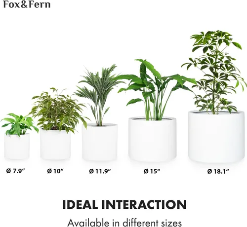 Vista 6 de Fox & Fern - Maceta (fibra de piedra) Padre