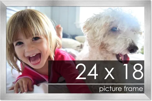 Vista 261 de Marco de madera de peltre plateado de 19 x 25 pulgadas con plexiglás acrílico UV, respaldo de tablero de espuma y accesorios incluidos