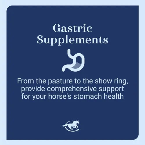Vista 4 de Gut™ Pellets Probióticos intestinales saludables para caballos Prebiótico equino y probiótico Suplemento para estómago de caballo 2.7 libras