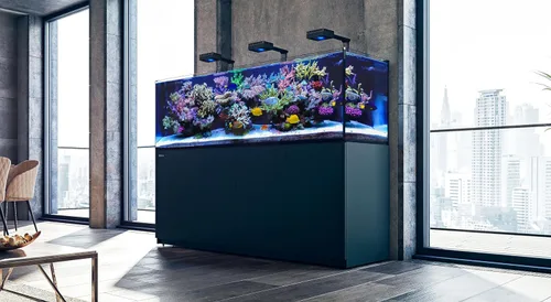 Vista 4 de Red Sea Reef Foundation A (Ca/SR), suplemento de 16.9 fl oz - Aditivo de calcio y estroncio para un crecimiento saludable de coral en acuarios