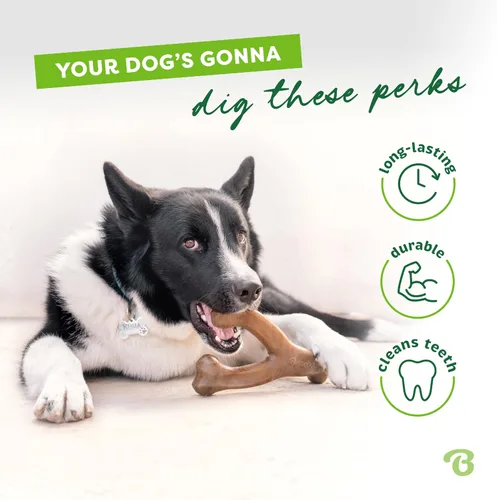 Vista 3 de Benebone Wishbone - Juguete masticable duradero para perros masticadores agresivos, cacahuete real, fabricado en Estados Unidos, pequeño