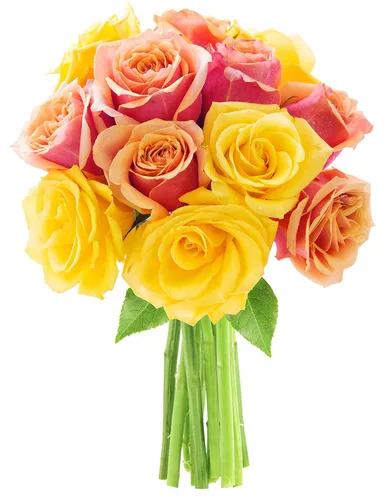 Vista 27 de KaBloom Entrega al día siguiente: colección para el día de la madre, 6 rosas arcoíris con ramo de verde. Regalo para cumpleaños, condolencias