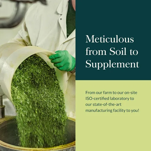 Vista 8 de Gaia Herbs Hoja de albahaca sagrada - Tradicionalmente utilizada para apoyar la respuesta al estrés - Hierba ayurvédica adaptogénica* - 60