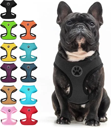 Vista 13 de BINGPET Arnés para perro sin tirones, arnés de chaleco tipo step-in de malla para todo clima para perros pequeños, arnés de malla transpirable