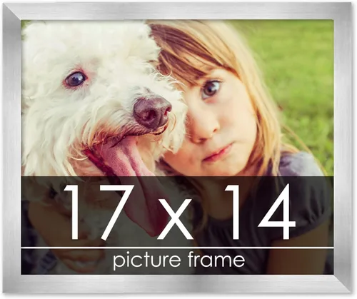 Vista 64 de Marco de madera de peltre plateado de 19 x 25 pulgadas con plexiglás acrílico UV, respaldo de tablero de espuma y accesorios incluidos