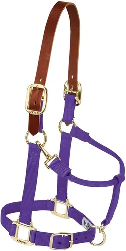 Vista 3 de Weaver Equine Breakaway Horse Halter, Supple Leather Crown, Adjustable Brass Throat Snap Halters for Horses, Equine Tack