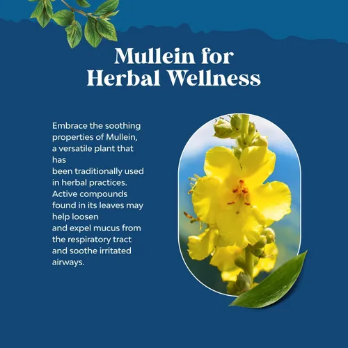 Vista 5 de Gotas de gordolobo orgánicas USDA para los pulmones - Desintoxicación y limpieza pulmonar herbal con extracto de raíz de malvavisco y hoja