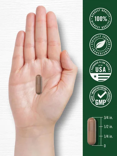 Vista 7 de Carlyle Pycnogenol 100mg 30 cápsulas Extracto de corteza de pino marítimo francés Pinus Pinaster Suplemento sin OMG y sin gluten