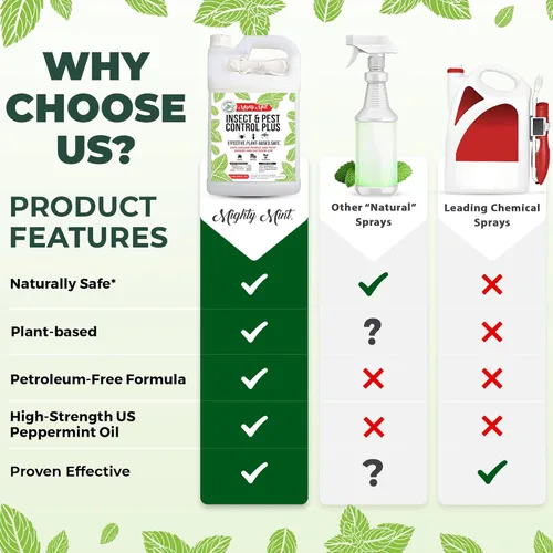 Vista 6 de Mighty Mint Aceite de menta repelente de insectos en aerosol – Control natural de insectos en interiores y exteriores para arañas, hormigas