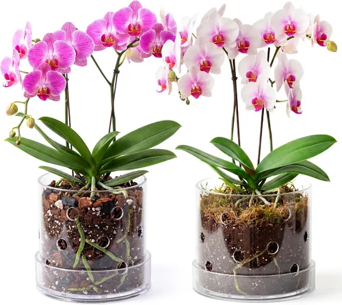 Vista 9 de Maceta de orquídea acrílica transparente de 4 pulgadas con agujeros redondos de 360° y bandeja