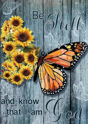 DAICHEL Kits de pintura de diamantes de mariposa para adultos, pinturas de puntos de diamante de perforación completa para principiantes, pintura