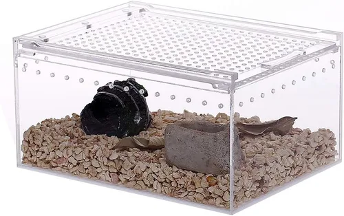 NANEEZOO Estuche magnético acrílico para reptiles, 8 x 6 x 4 pulgadas, caja de cría de reptiles transparente, jaula de terrario, para tarántula,