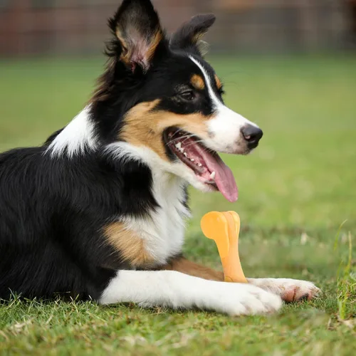 Vista 5 de Tikaton Juguetes masticables para perros para masticadores agresivos, sabor a pollo, juguetes masticables duraderos para dentición de perros, huesos