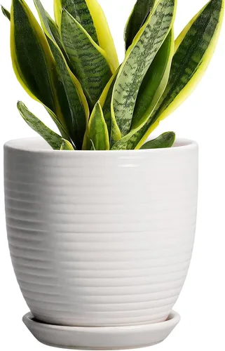 Vista 22 de Macetas de cerámica de 6 pulgadas para plantas, macetas de cerámica con orificio de drenaje y platillo, maceta para plantas de interior, maceta