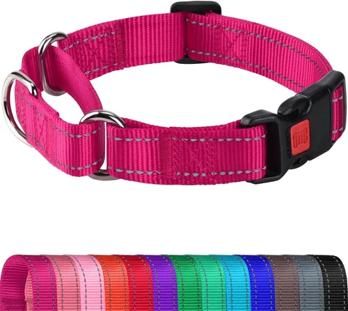 Vista 17 de Joytale Collar Martingale para perros, reflectante resistente para mayor seguridad, hebilla de liberación rápida, collares de nailon ajustables